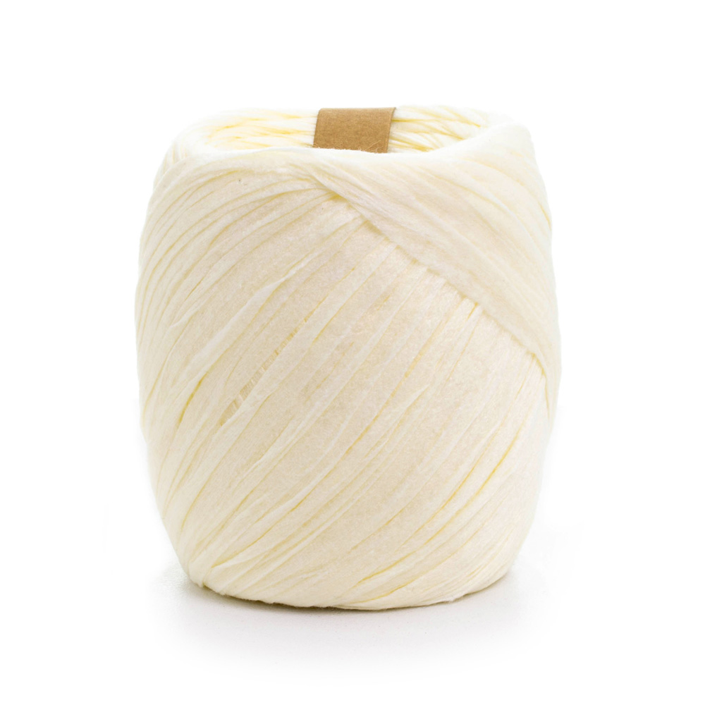 Sợi cọ giấy Craft Yarn AIRY