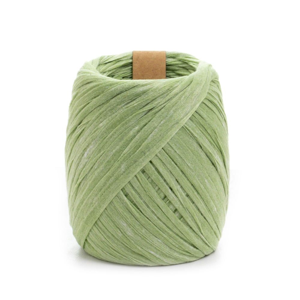 Sợi cọ giấy Craft Yarn AIRY