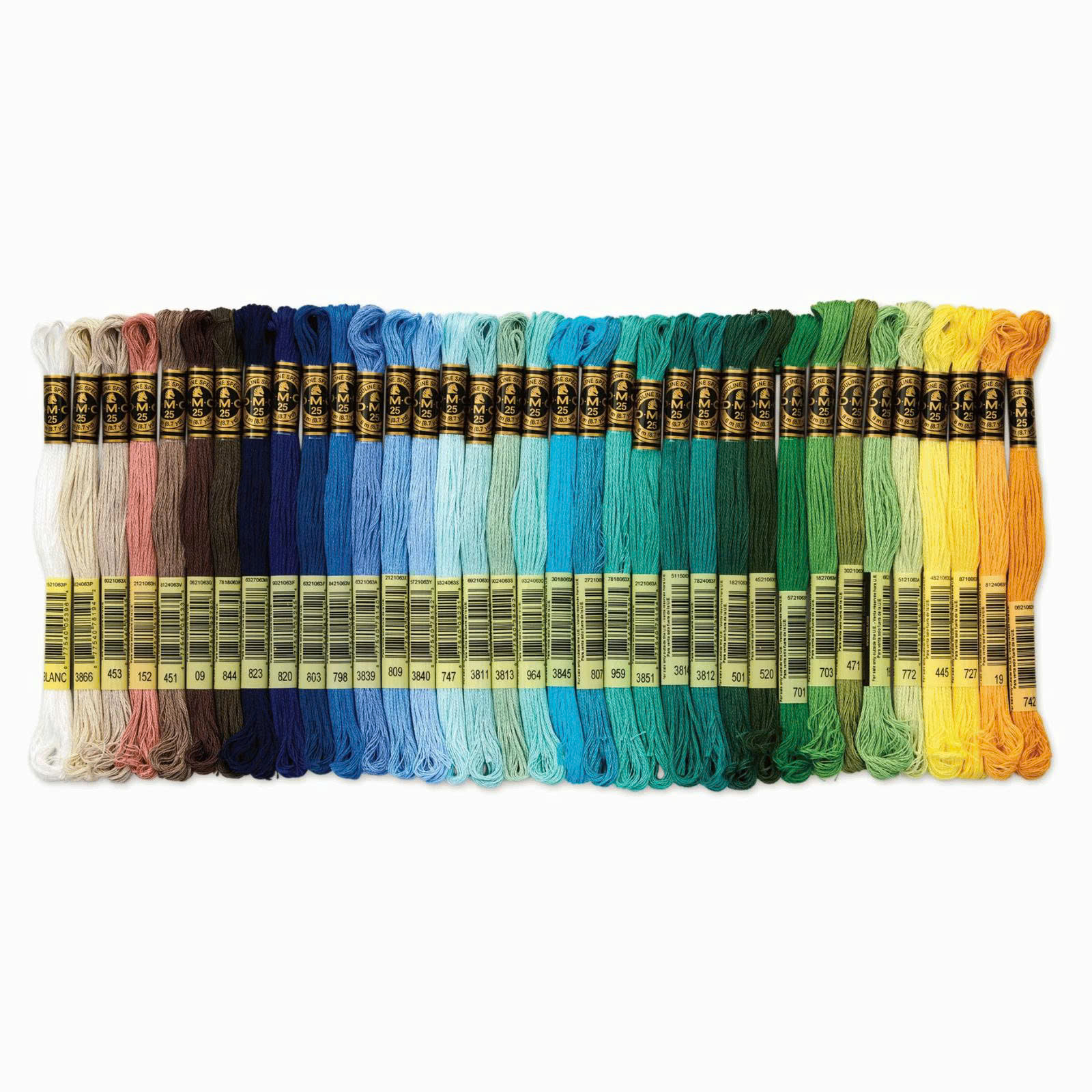 Set chỉ thêu DMC Mouliné Special Collector’s Blue Tin Embroidery Floss 117ZAM