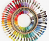 Set chỉ thêu 50 tép DMC Spring Palette Mouliné Spécial Thread Assortment
