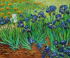  Sét chỉ thêu DMC Floss "Irises" Bundle Inspired by Van Gogh