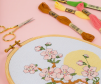 Set chỉ thêu DMC The Essentials Assortment ASS117MC/1