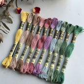 Set chỉ thêu DMC Party Garden